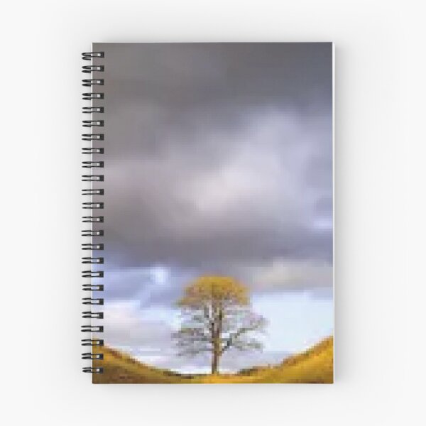 Item preview, sycamore gap  tree wall art ,stickers designed and sold by bloosoms.