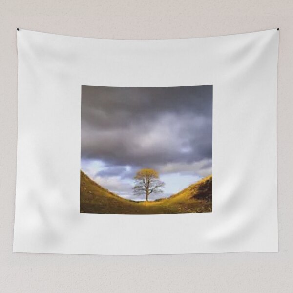 Item preview, sycamore gap  tree wall art ,stickers designed and sold by bloosoms.