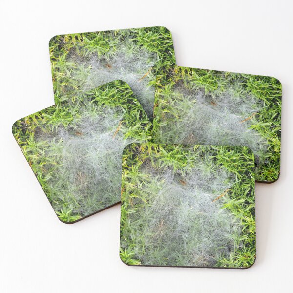 Item preview, Phlox Spider Web designed and sold by bjtomiko.
