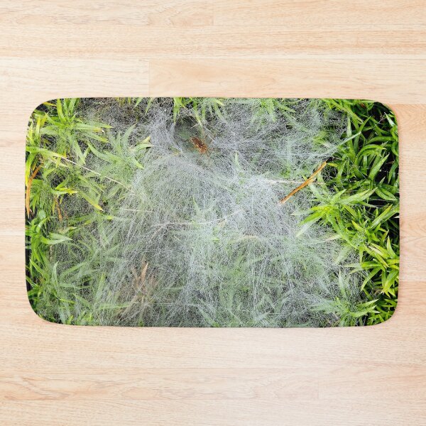 Item preview, Phlox Spider Web designed and sold by bjtomiko.