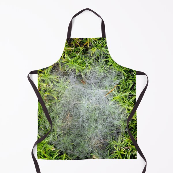 Item preview, Phlox Spider Web designed and sold by bjtomiko.