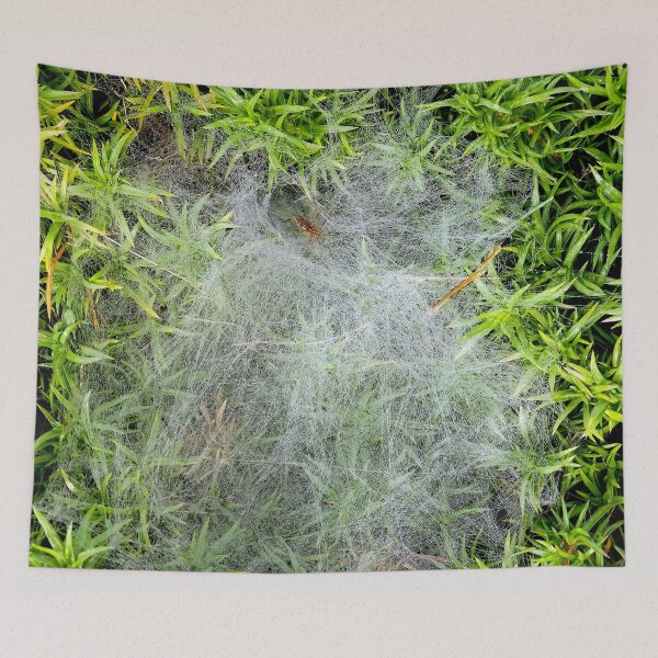 Item preview, Phlox Spider Web designed and sold by bjtomiko.