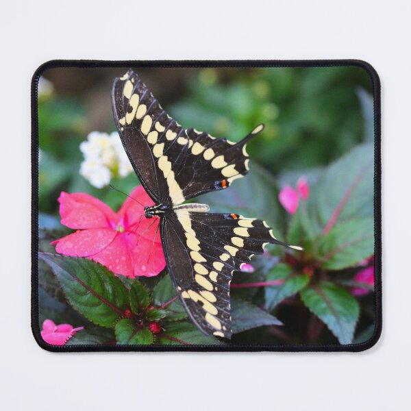 Item preview, A New Phase designed and sold by Michiale.