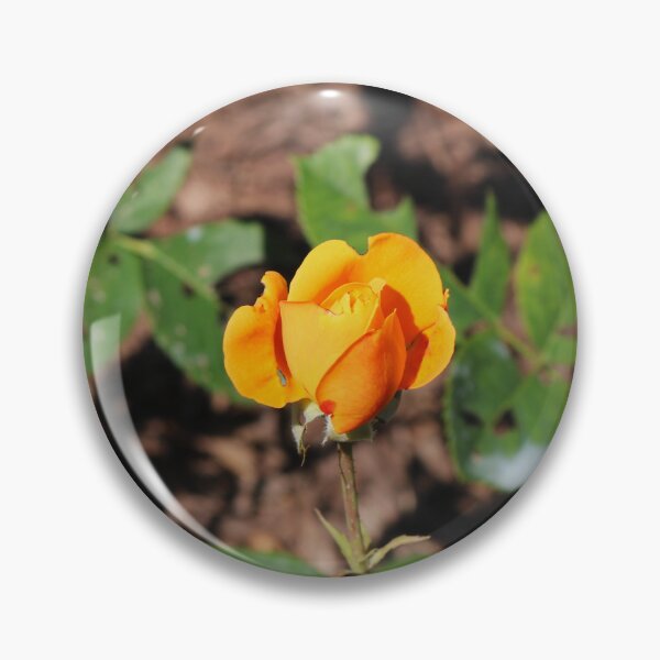 Item preview, Look for the Magic designed and sold by Michiale.