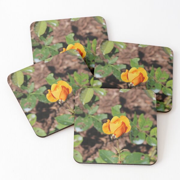 Item preview, Look for the Magic designed and sold by Michiale.
