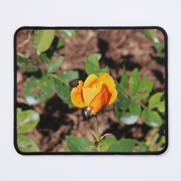 Item preview, Look for the Magic designed and sold by Michiale.