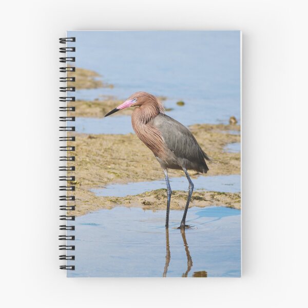 Item preview, Explore Everything  designed and sold by Michiale.
