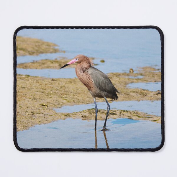 Item preview, Explore Everything designed and sold by Michiale.