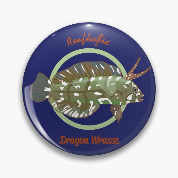 Item preview, Dragon Wrasse designed and sold by KaplanCrypto.
