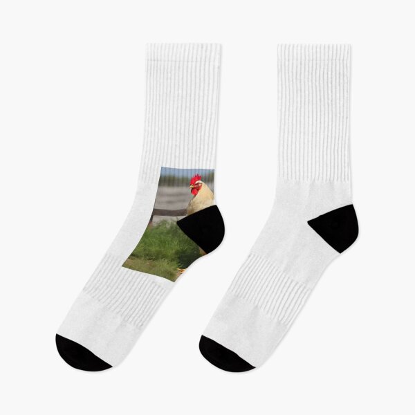 Item preview, Chiken designed and sold by Arty Stick.