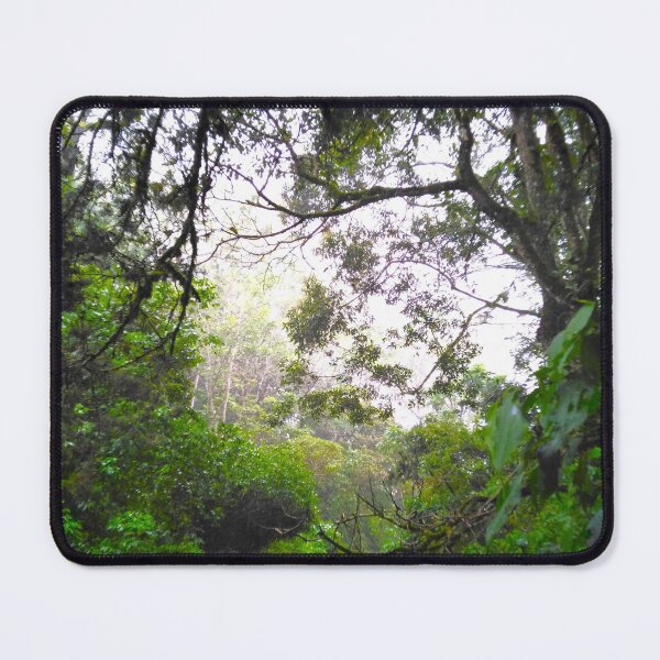 Item preview, Rainforest Trail designed and sold by andresindio.