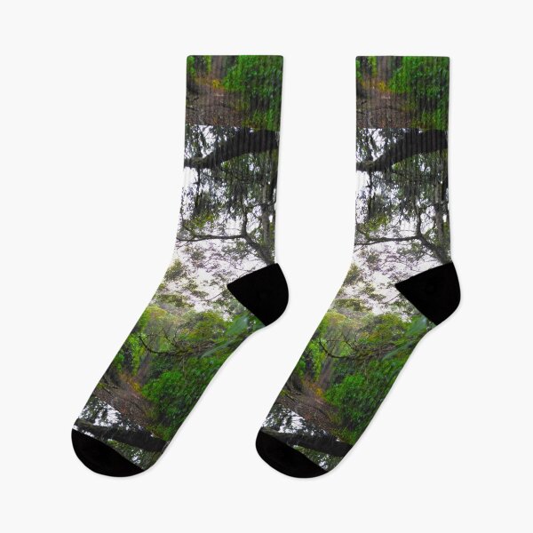 Item preview, Rainforest Trail designed and sold by andresindio.