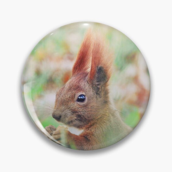 Item preview, Autumn squirrel designed and sold by WildEncounters.
