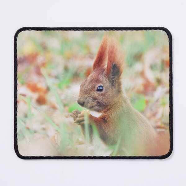 Item preview, Autumn squirrel designed and sold by WildEncounters.