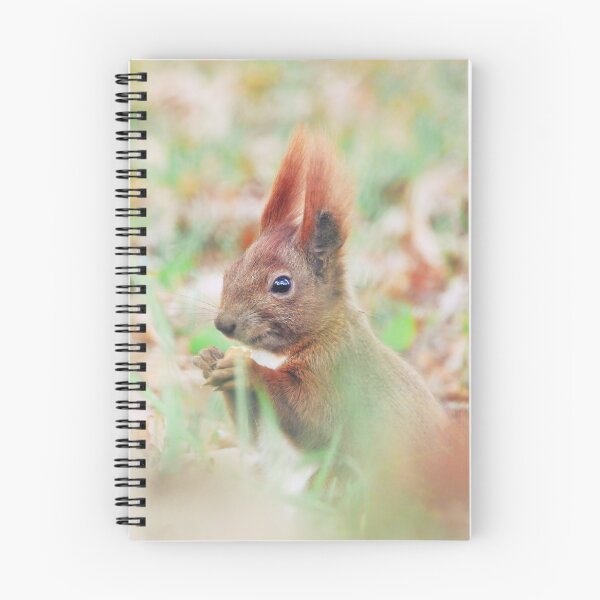 Item preview, Autumn squirrel designed and sold by WildEncounters.