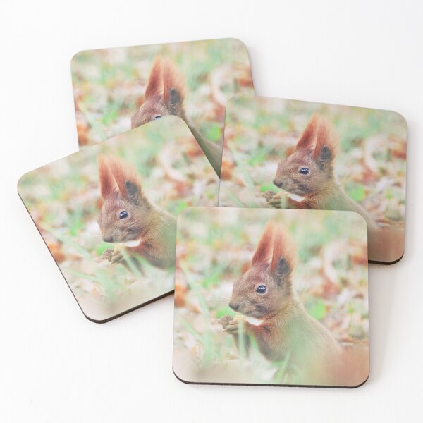 Item preview, Autumn squirrel designed and sold by WildEncounters.