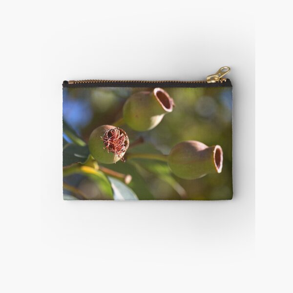 Artikelvorschau, Eukalyptus Gumnuts entworfen und verkauft von Joy Watson - Natural Light Photography .