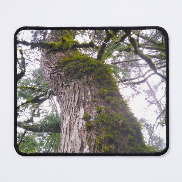 Item preview, Tree designed and sold by andresindio.