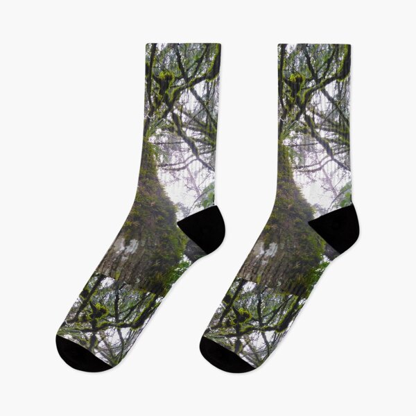Item preview, Tree designed and sold by andresindio.