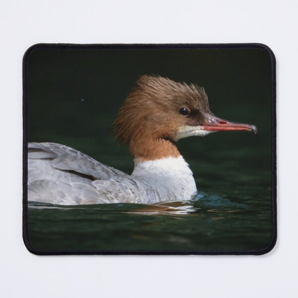 Item preview, Merganser female designed and sold by WildEncounters.