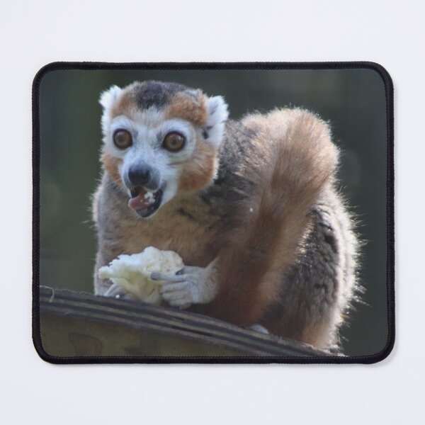 Item preview, Red Bellied Lemur designed and sold by Ladymoose.