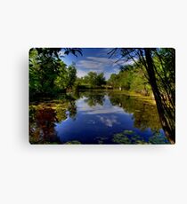 "The Marsh" Canvas Print