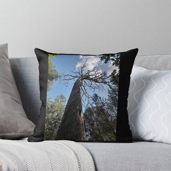 Item preview, Scary old tree in the forest designed and sold by Project4X.