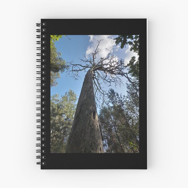 Item preview, Scary old tree in the forest designed and sold by Project4X.
