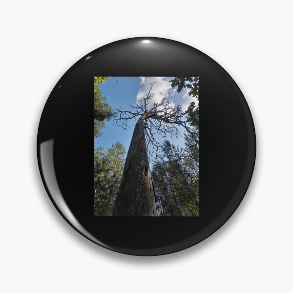 Item preview, Scary old tree in the forest designed and sold by Project4X.