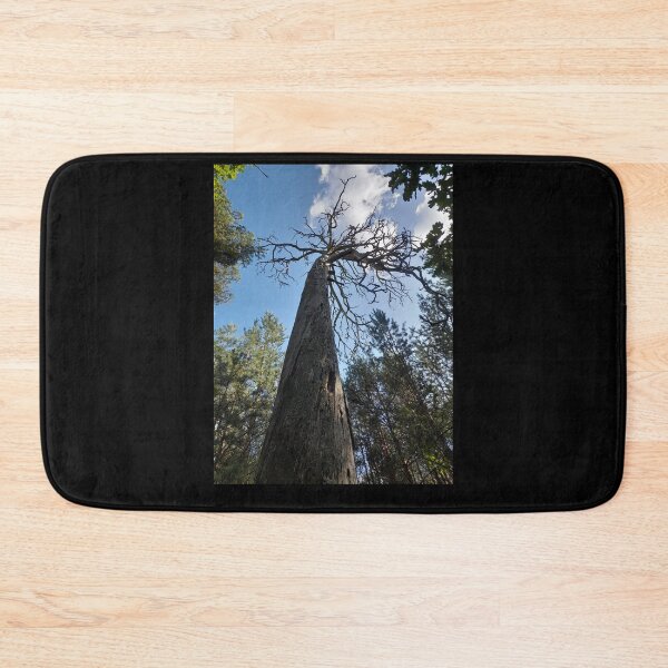 Item preview, Scary old tree in the forest designed and sold by Project4X.