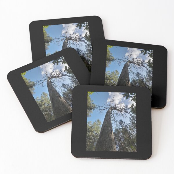 Item preview, Scary old tree in the forest designed and sold by Project4X.