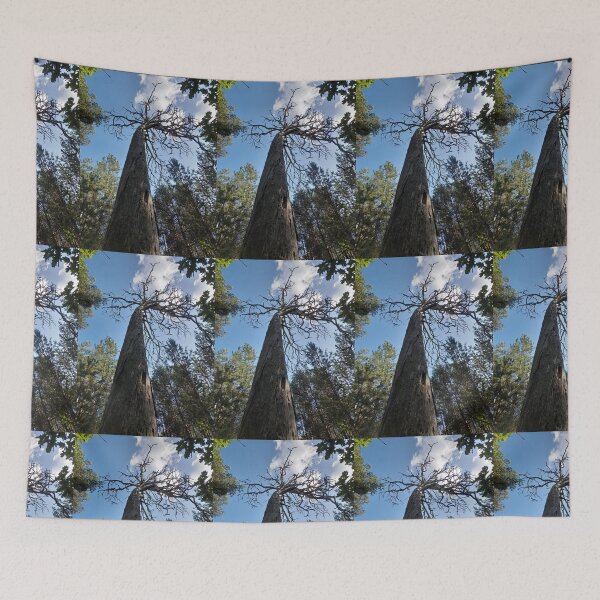 Item preview, Scary old tree in the forest designed and sold by Project4X.