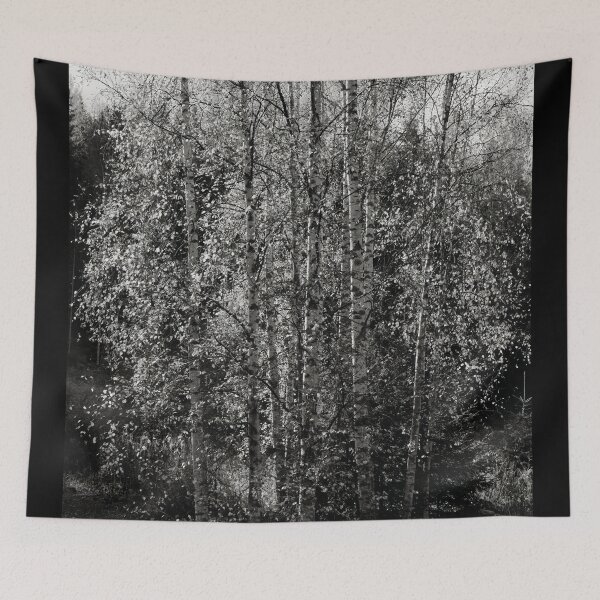 Item preview, Birches fall bw designed and sold by Jouko Lehto Photography.