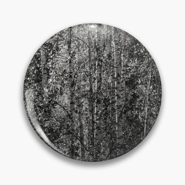 Item preview, Birches fall bw designed and sold by Jouko Lehto Photography.