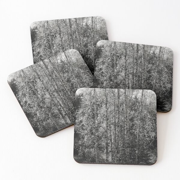 Item preview, Birches fall bw designed and sold by Jouko Lehto Photography.
