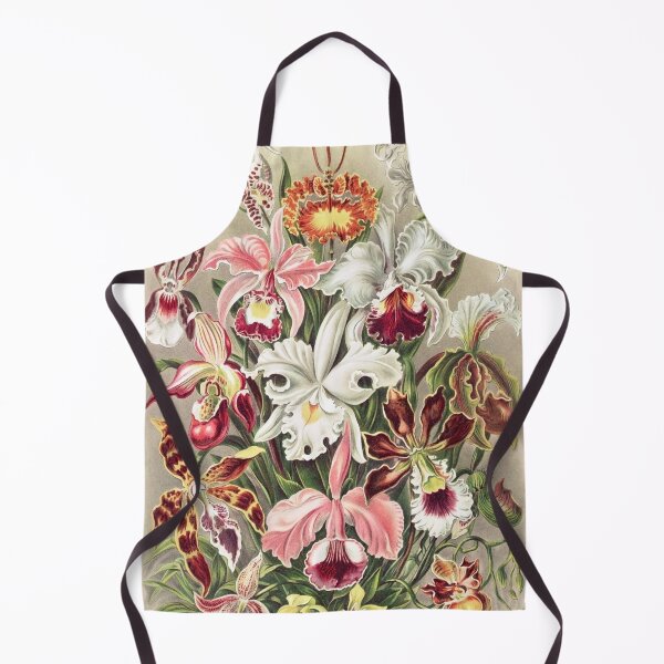 Artikelvorschau, orchideae denusblumen ernst haeckel 1904, mauspad, covor kissen, becher, decke, telefonhülle entworfen und verkauft von Suzana Djordjevic.