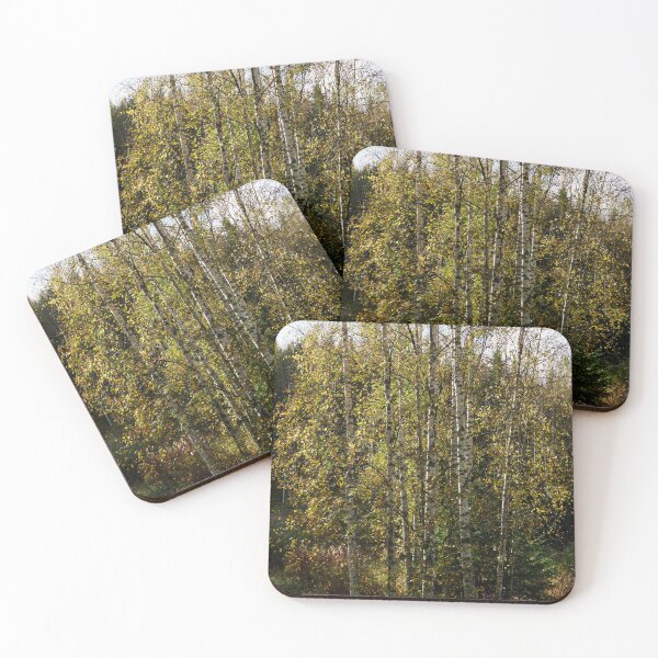 Item preview, Birches fall colors designed and sold by Jouko Lehto Photography.