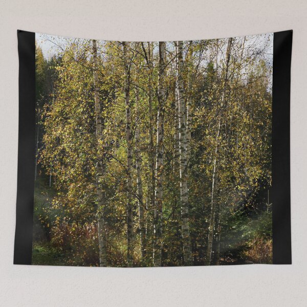 Item preview, Birches fall colors designed and sold by Jouko Lehto Photography.