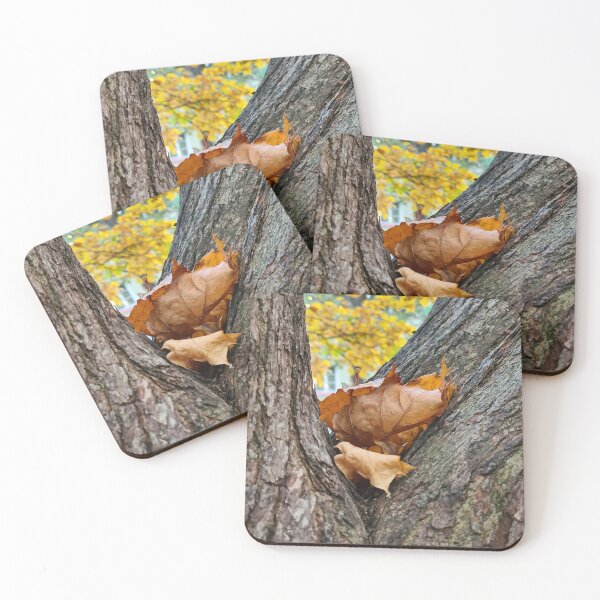 Item preview, Autumn in Finland designed and sold by bluerosesart37.