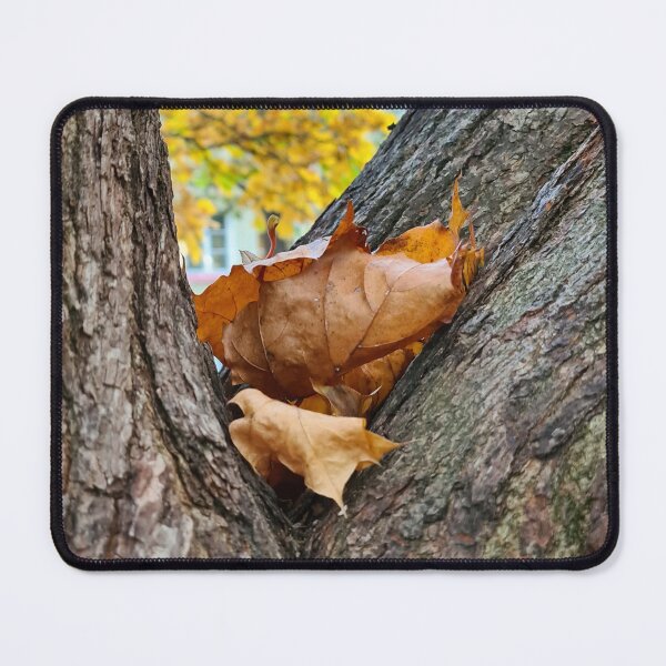 Item preview, Autumn in Finland designed and sold by bluerosesart37.