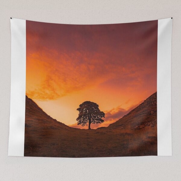 Item preview, sycamore gap designed and sold by Uptopshop158.
