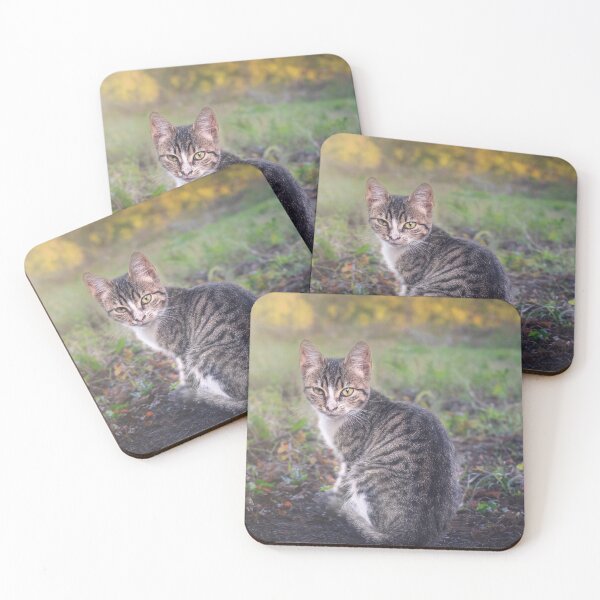 Item preview, A little kitten is looking straight into your eyes designed and sold by Dejan Travica.