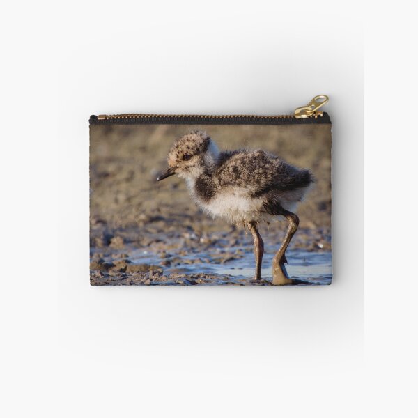 Item preview, Nothern lapwing chick designed and sold by WildEncounters.