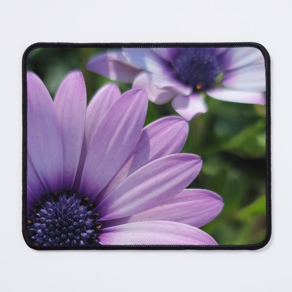 Item preview, Blue and purple gerbera daisy designed and sold by spotluck.