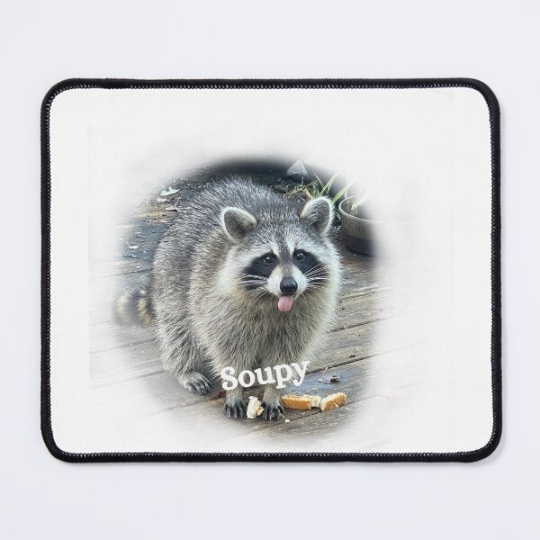 Item preview, Soupy the Raccoon cub designed and sold by Richard W J Conyard.