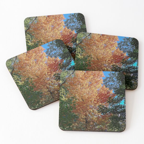 Item preview, Fall Maple Tree, UW Arboretum, Madison, WI 3 designed and sold by StevenRalserPhoto.