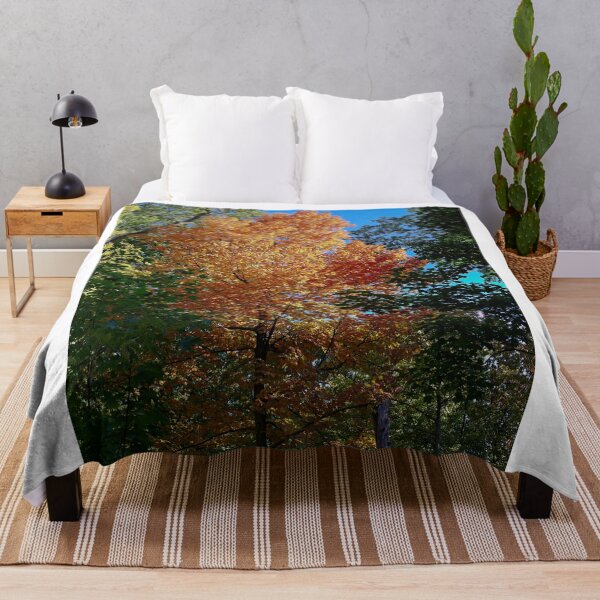 Item preview, Fall Maple Tree, UW Arboretum, Madison, WI 3 designed and sold by StevenRalserPhoto.