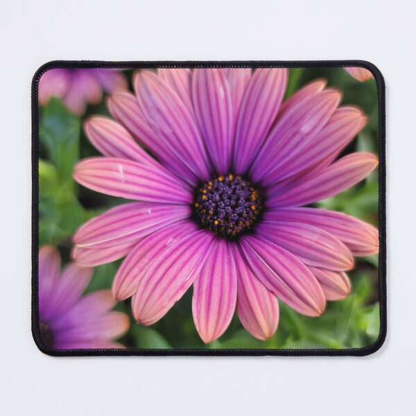 Item preview, Gerbera daisies in the morning designed and sold by spotluck.