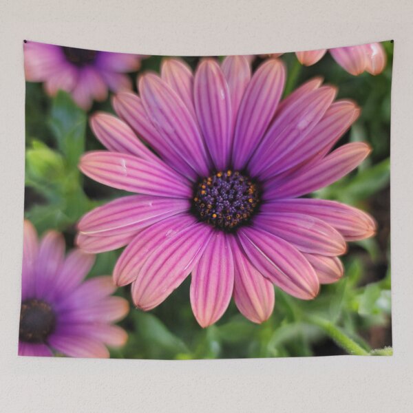 Item preview, Gerbera daisies in the morning designed and sold by spotluck.