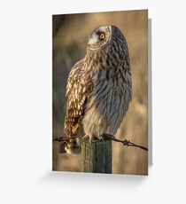 Things Are Looking Up Greeting Card